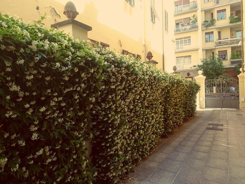 Hotel Della Robbia Florence Exterior photo